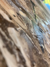 Load image into Gallery viewer, Gentle Giant With Great Hair sold