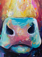 Load image into Gallery viewer, Raincow sold