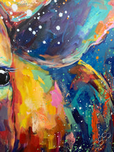 Load image into Gallery viewer, Raincow sold