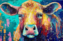 Load image into Gallery viewer, Raincow sold