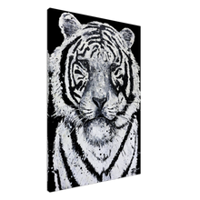 Load image into Gallery viewer, White Tiger Canvas Print