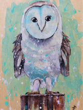 Load image into Gallery viewer, Barn Owl Canvas Print