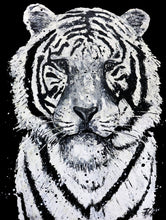 Load image into Gallery viewer, White Tiger Canvas Print