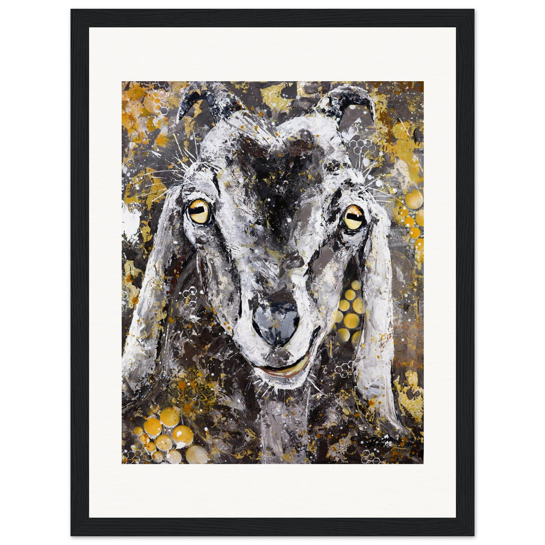 Crazy Eyes  Wooden Framed Print