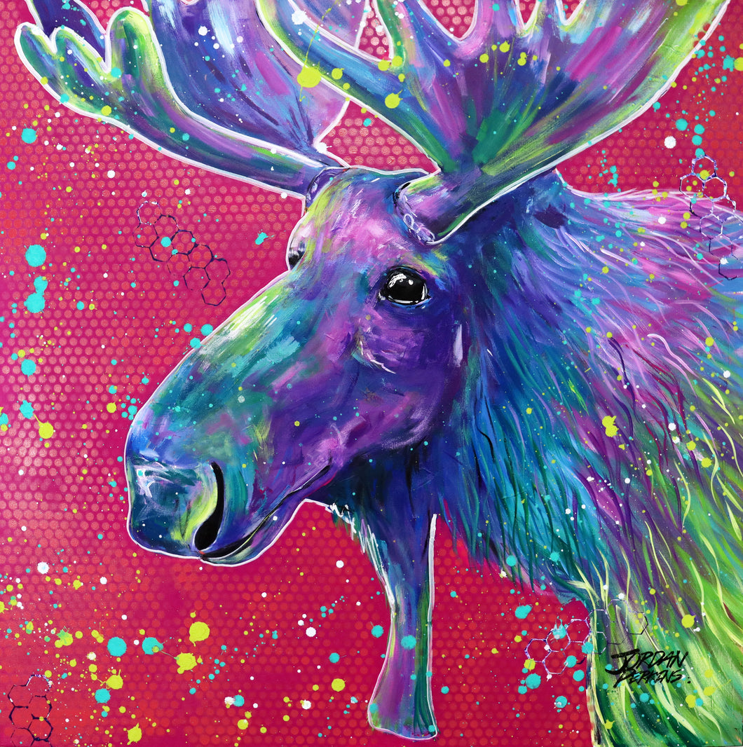 Colourful Moose Canvas Print
