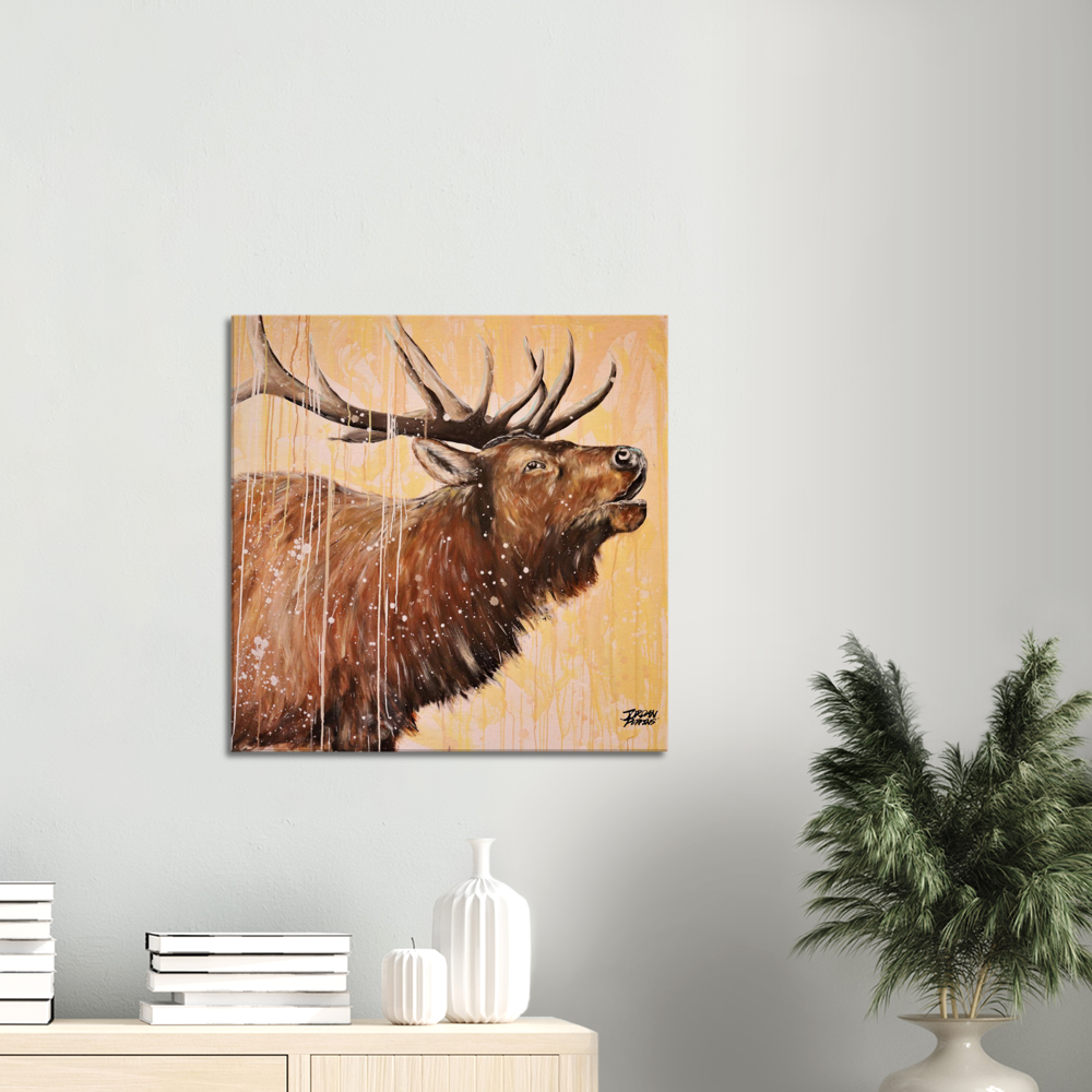 Elk Canvas Print