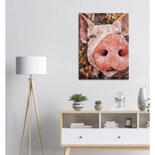 Load image into Gallery viewer, Pig Nosed Canvas Print
