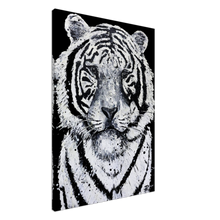 Load image into Gallery viewer, White Tiger Canvas Print
